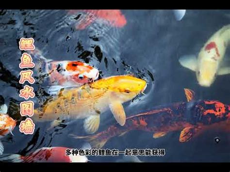 九鯉魚圖|【九鯉魚圖】【必知】九鯉魚圖風水大全，禁忌與吉祥。